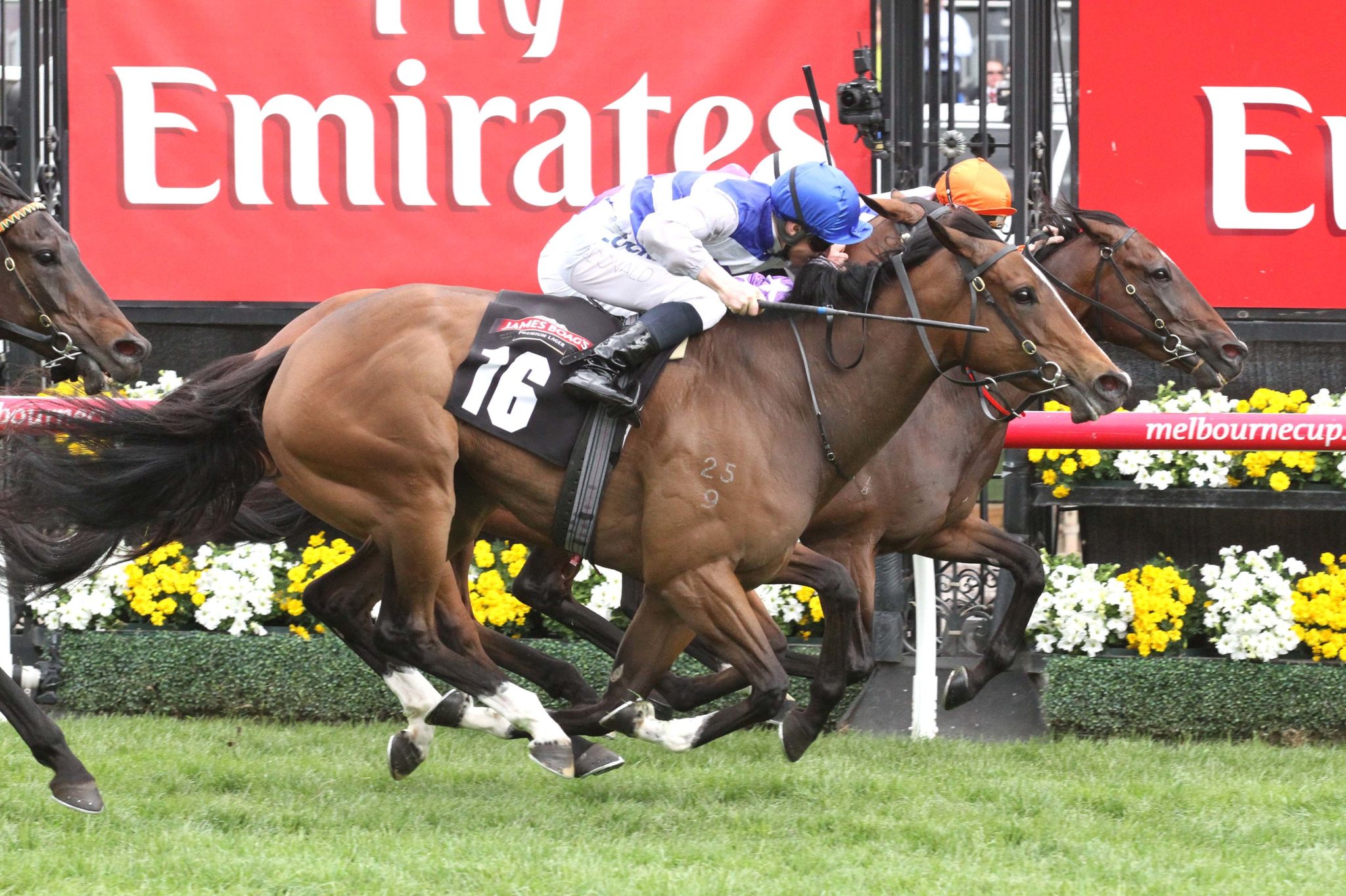 Atacama 04 11 2014 WIN Flemington 8 1715