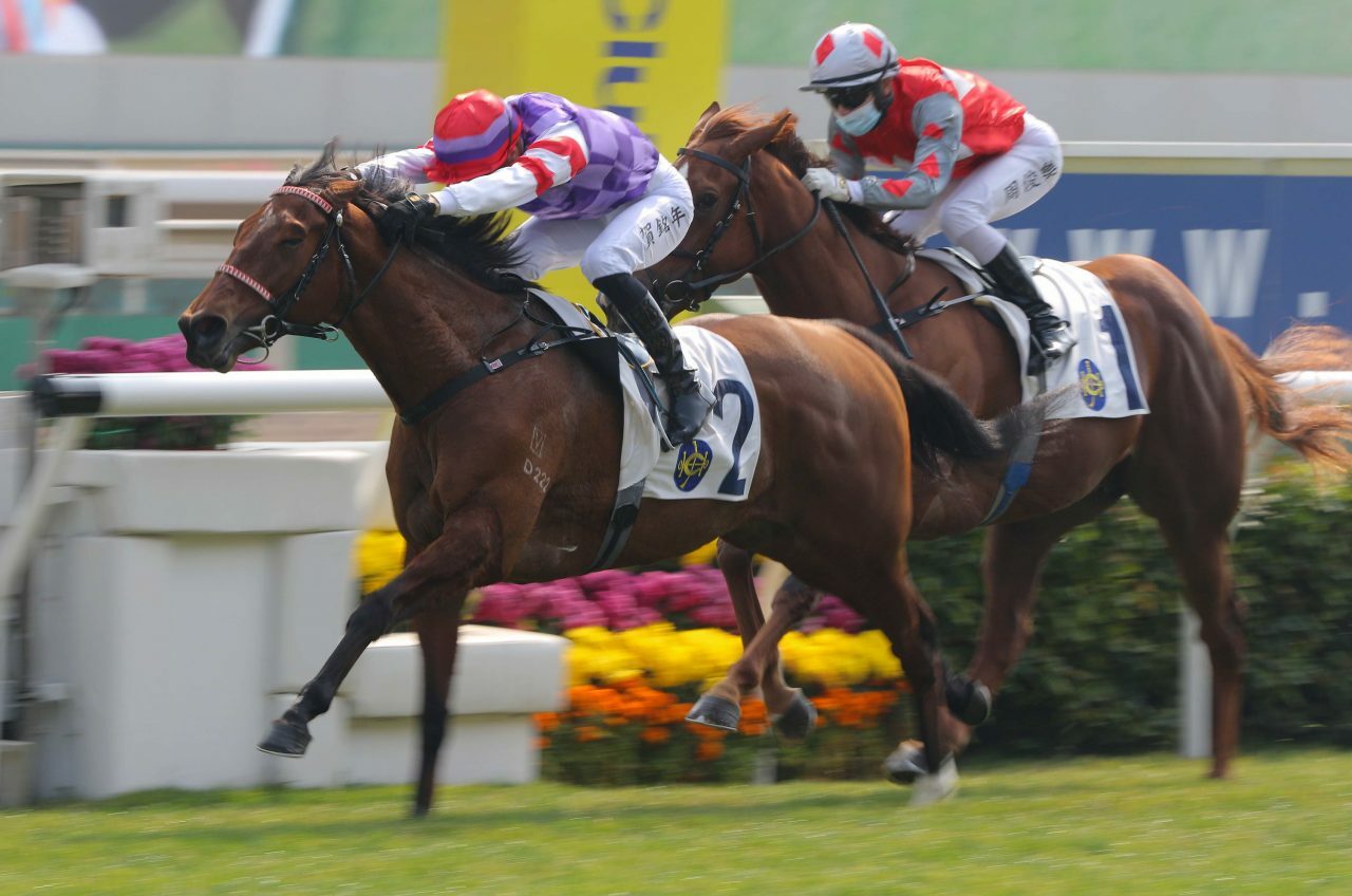 Golden Link (NZ)