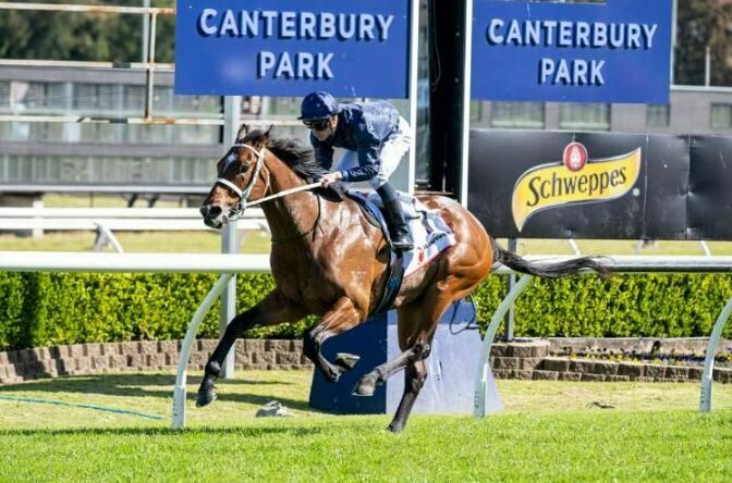 Northern Beaches Canterbury Park