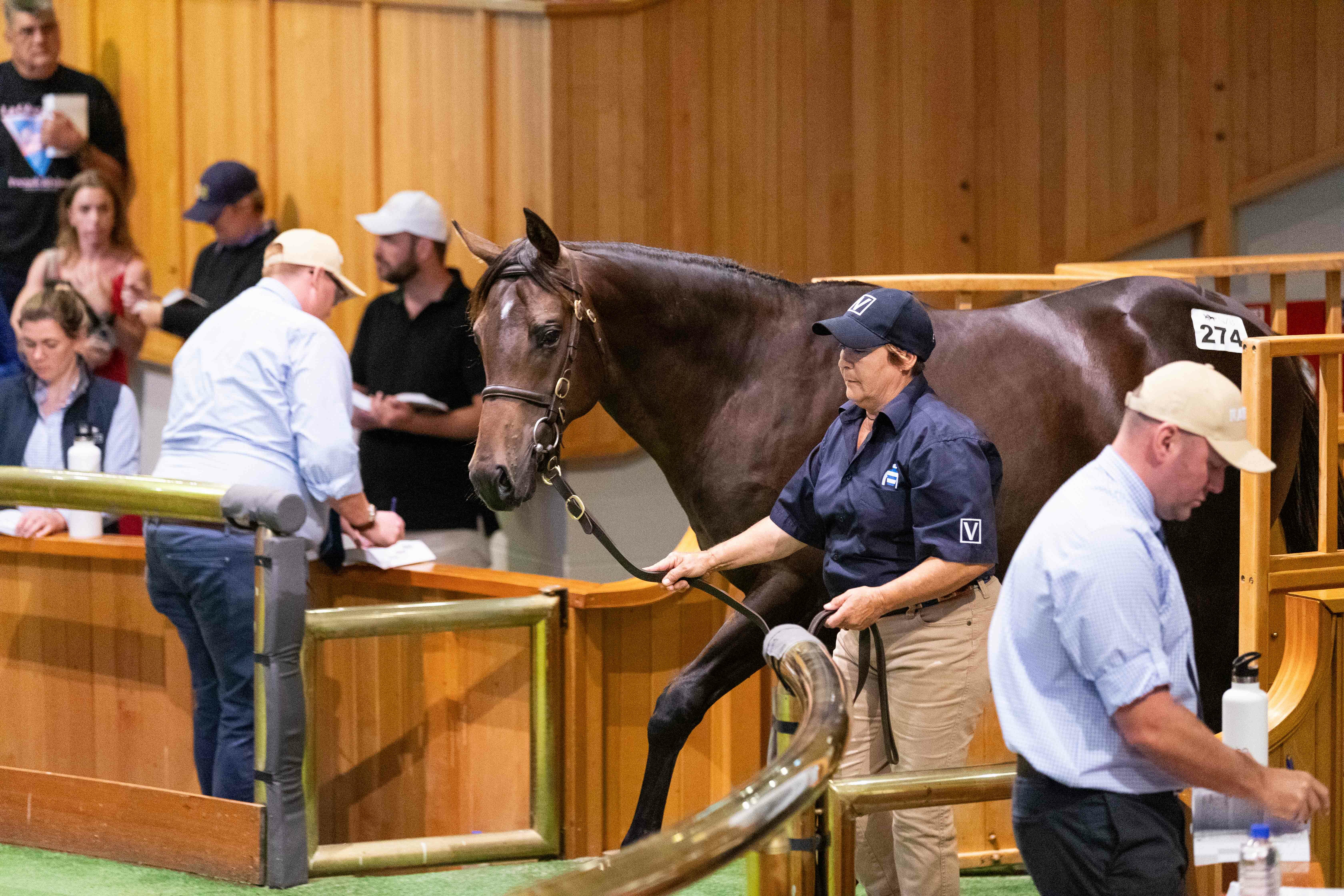 Lot 274