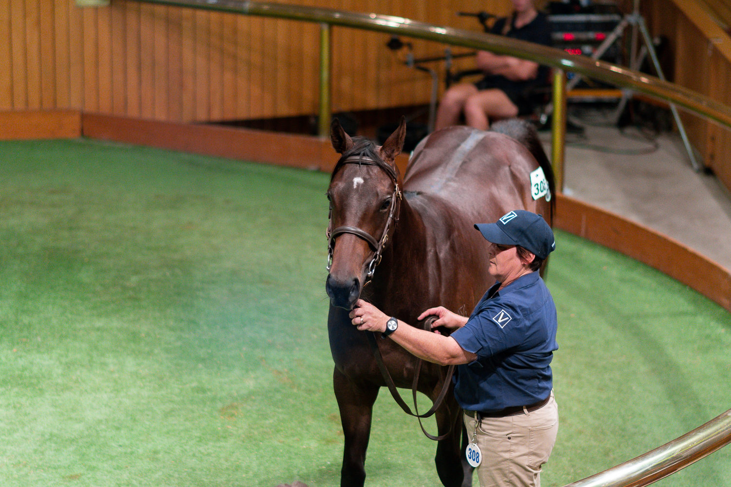 Lot 308 Teofilo x Star Jasmine 0408