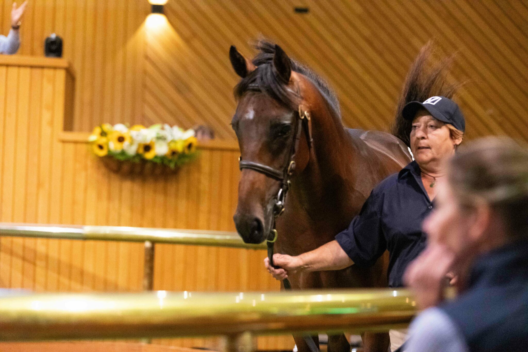 Lot 372 1
