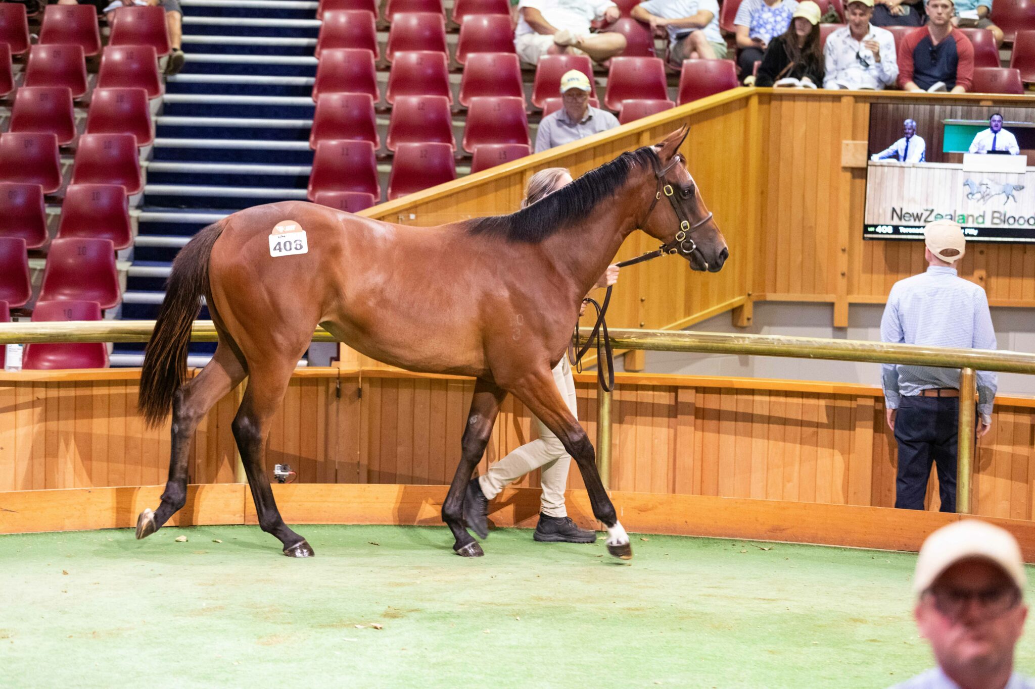 Lot 408 4