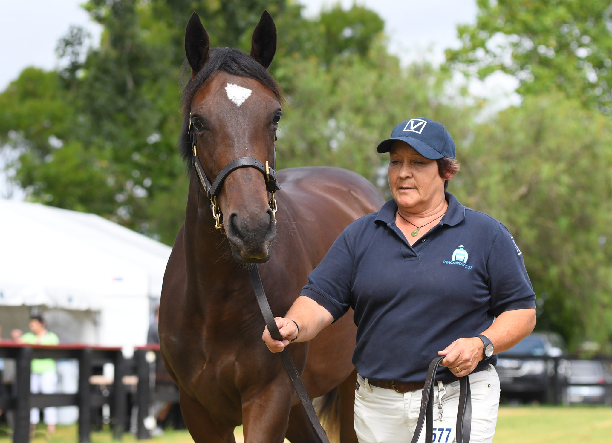 Lot 577 Frankel x Assume Sarah Ebbett 28 01 2019 SE1 0087