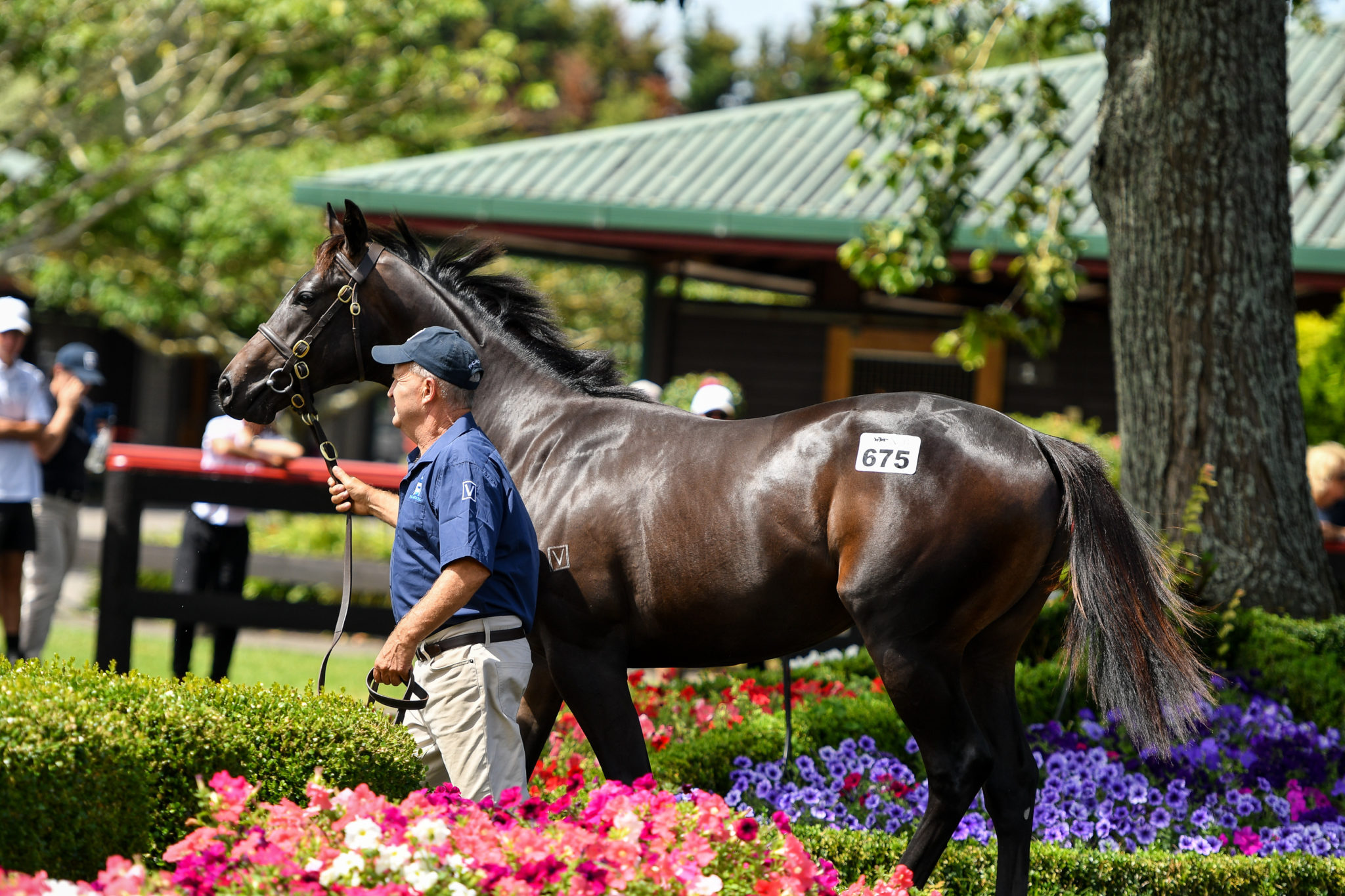 Lot 675 Power x Uberalles Sarah Ebbett 31 1 18 29923