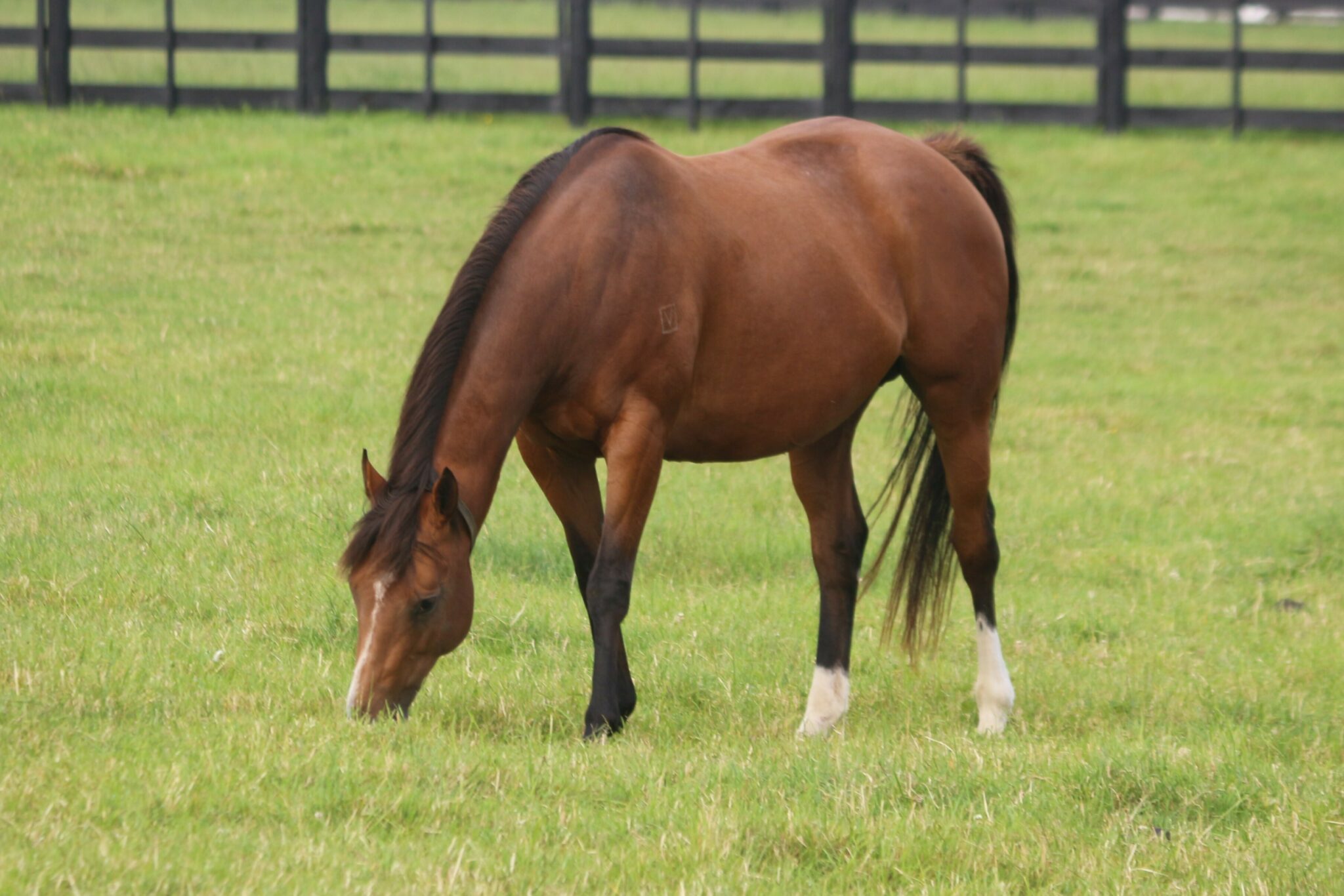 Far and Away 26 11 25