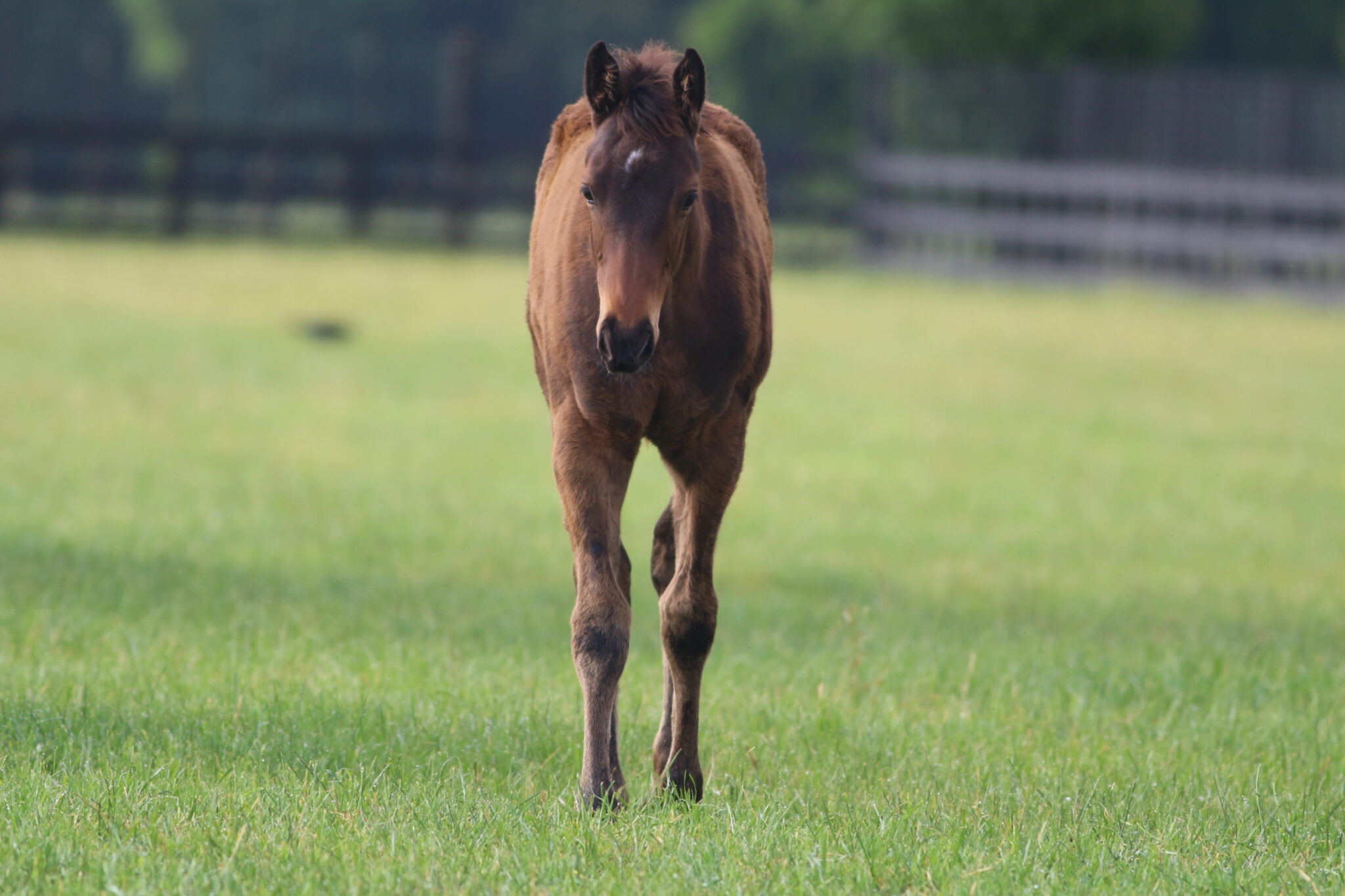 IMG 1131 Quintesentially 25 web