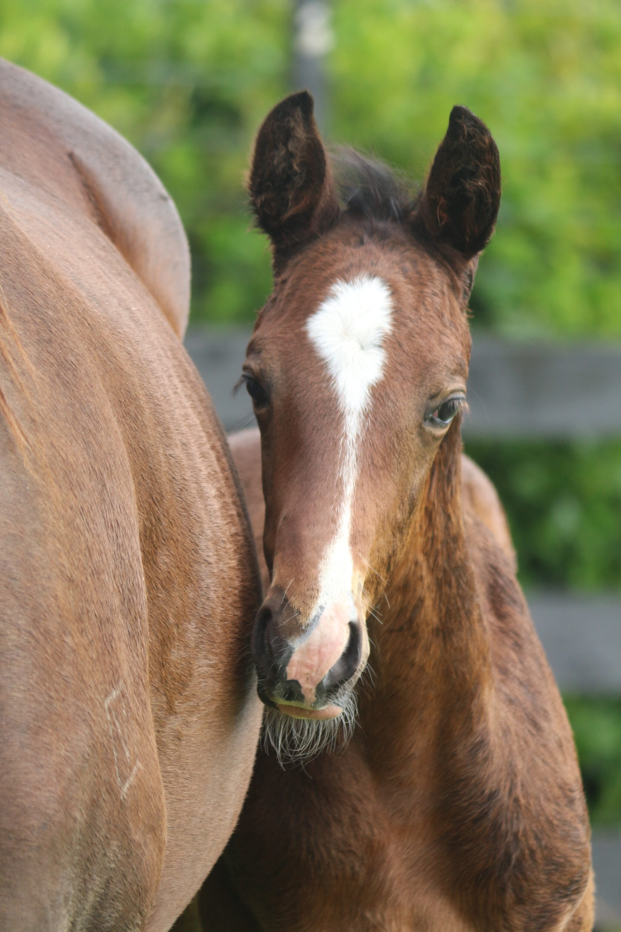 IMG 1236 Skywards web