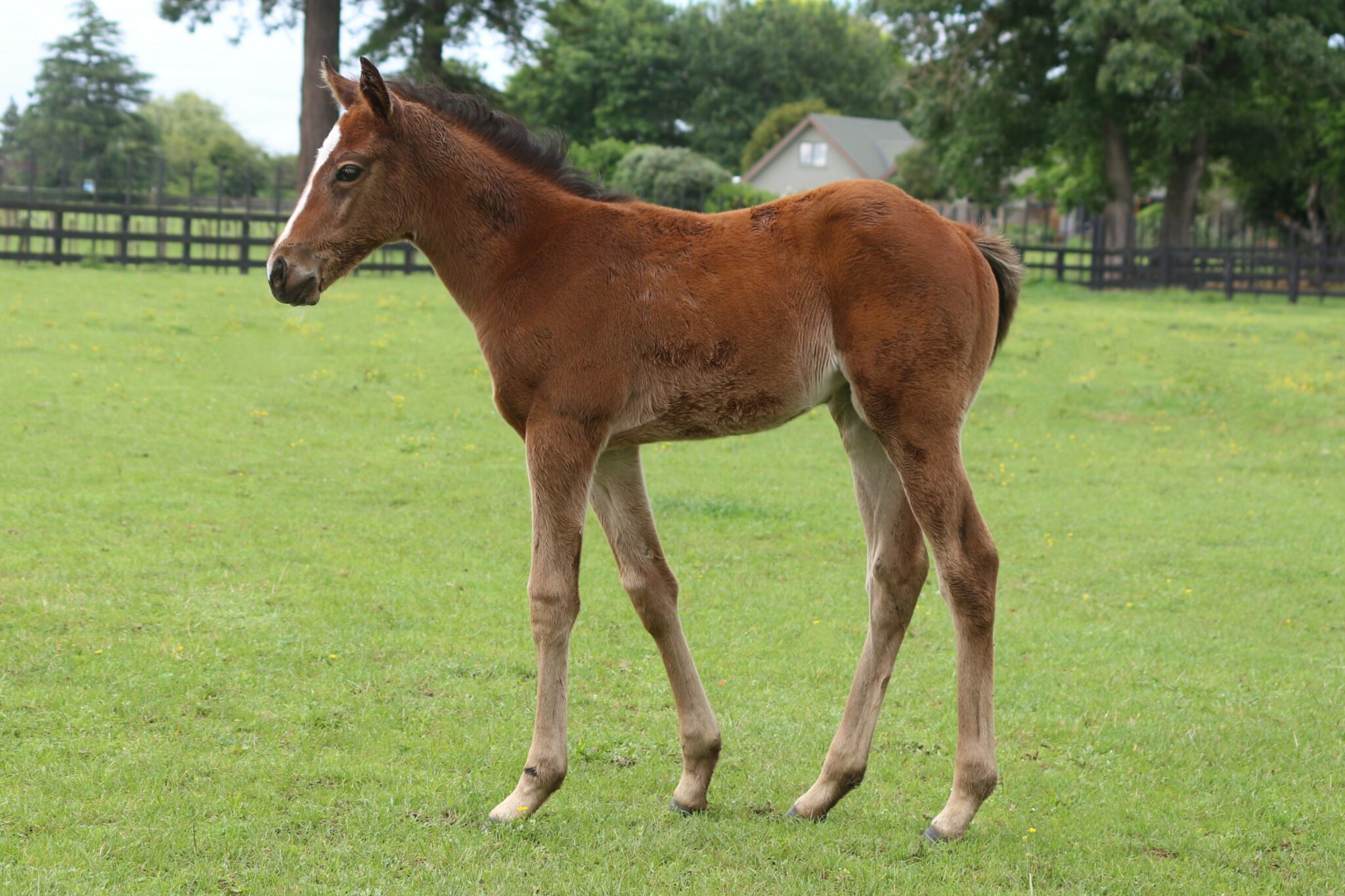 IMG 1383 Floating Heart 25 web