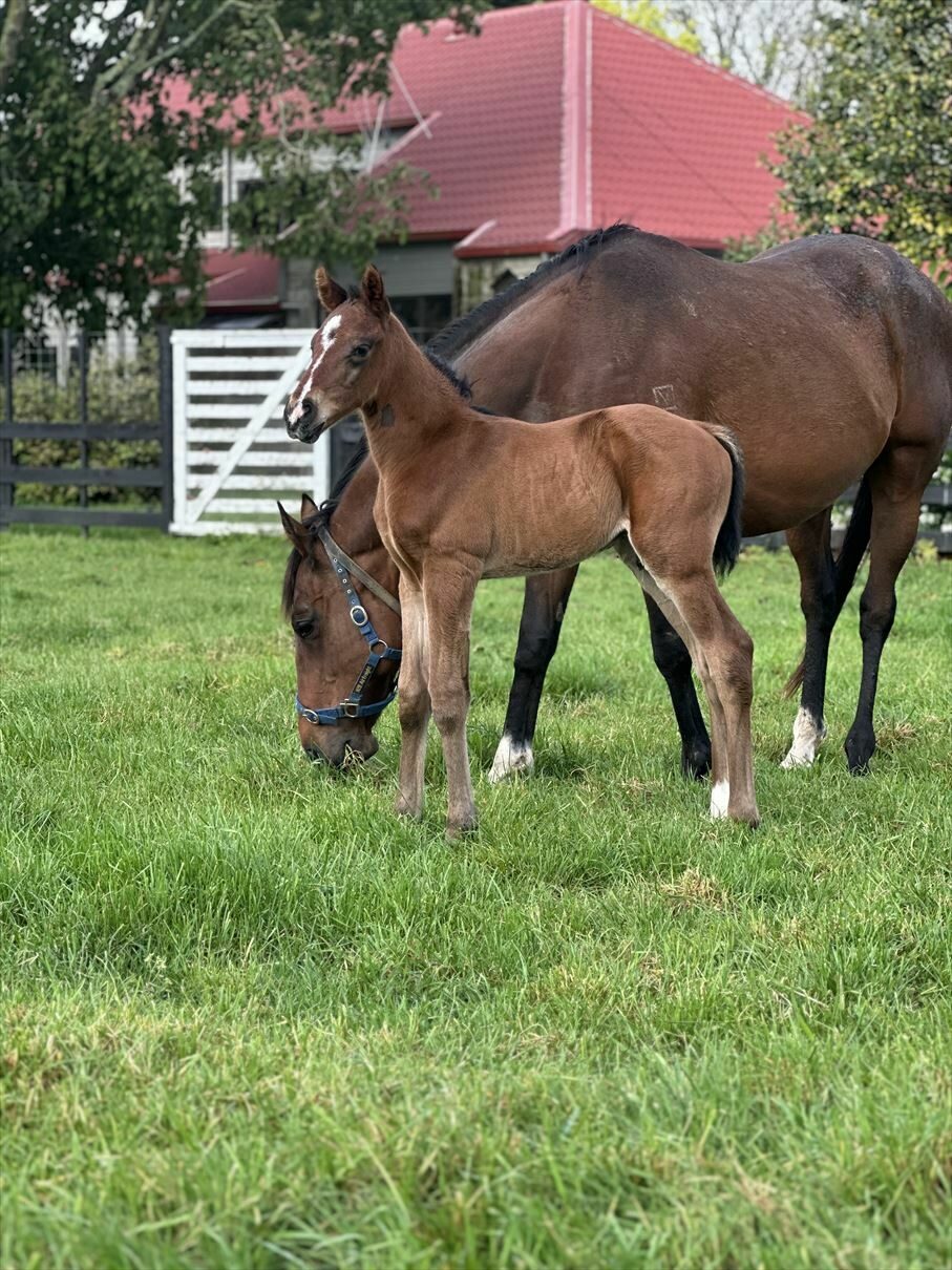 Photo Golden Hour 25 a few hours old