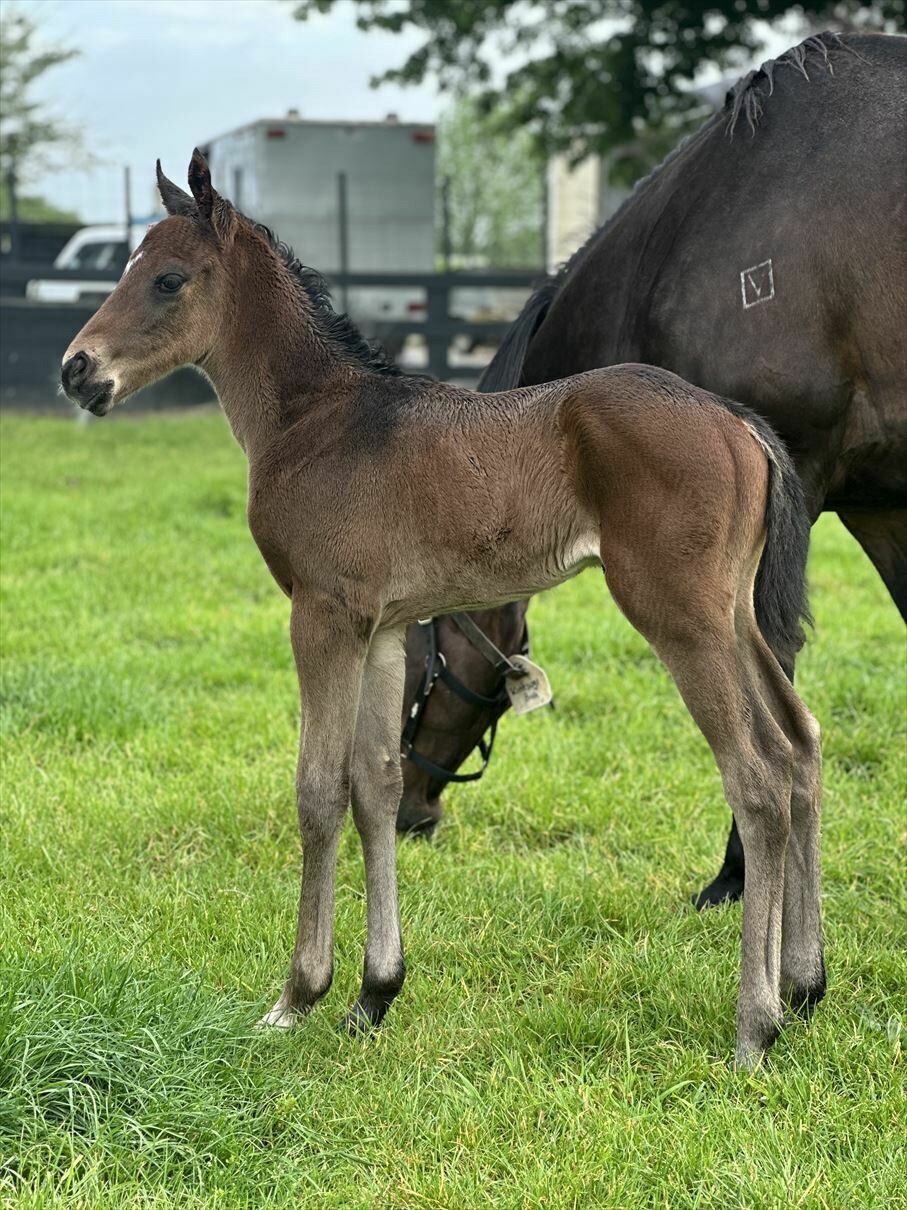 Photo only a few hours old