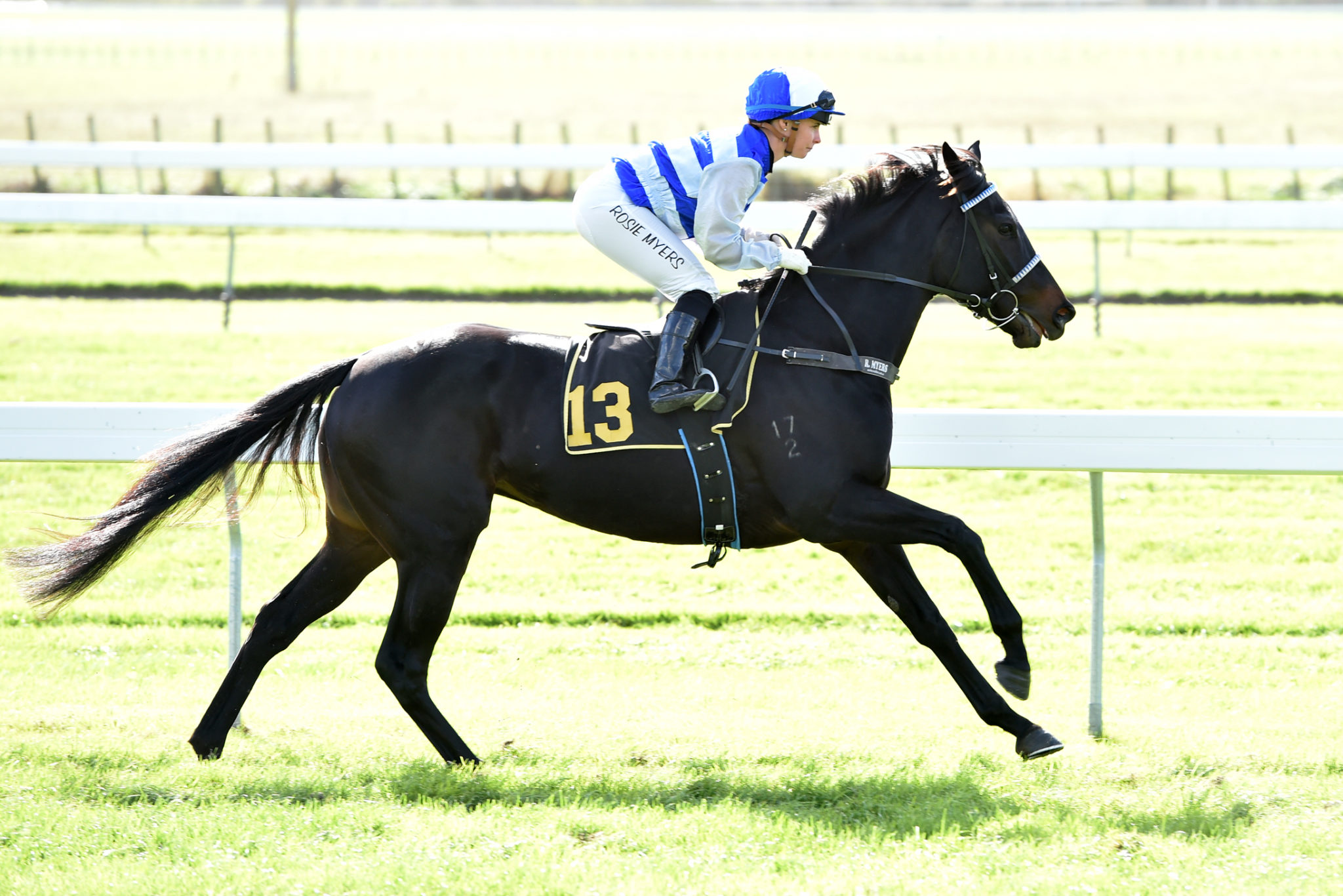 QUEENS JUBILEE RACE IMAGES PHOTO