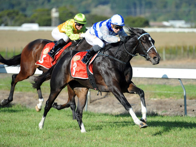 QUINTESSENTIALLY DARGAVILLE 15 4 2016 RACE IMAGES PN PHOTO