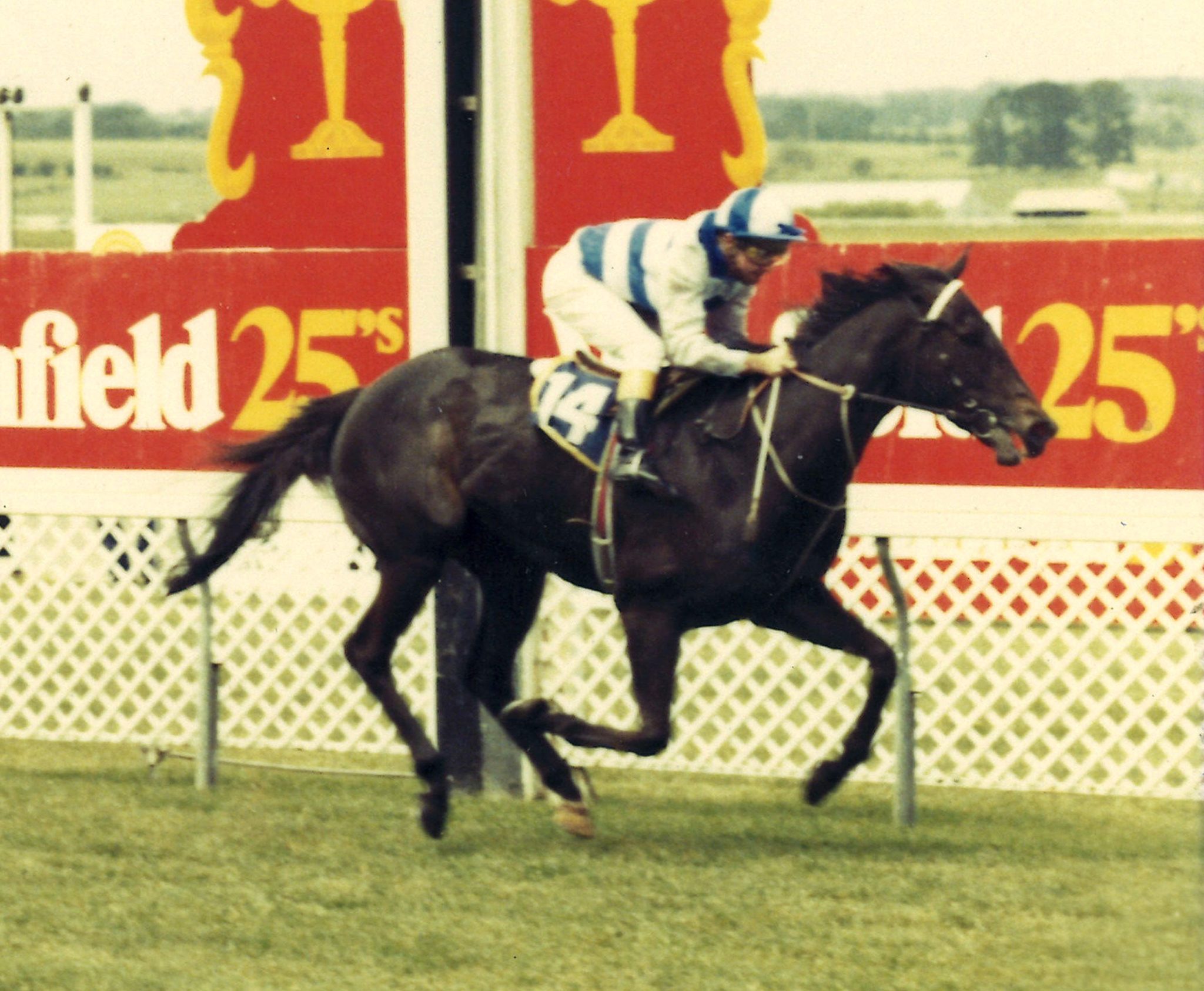 Richebourg win at Ballarat Nov 1983 2