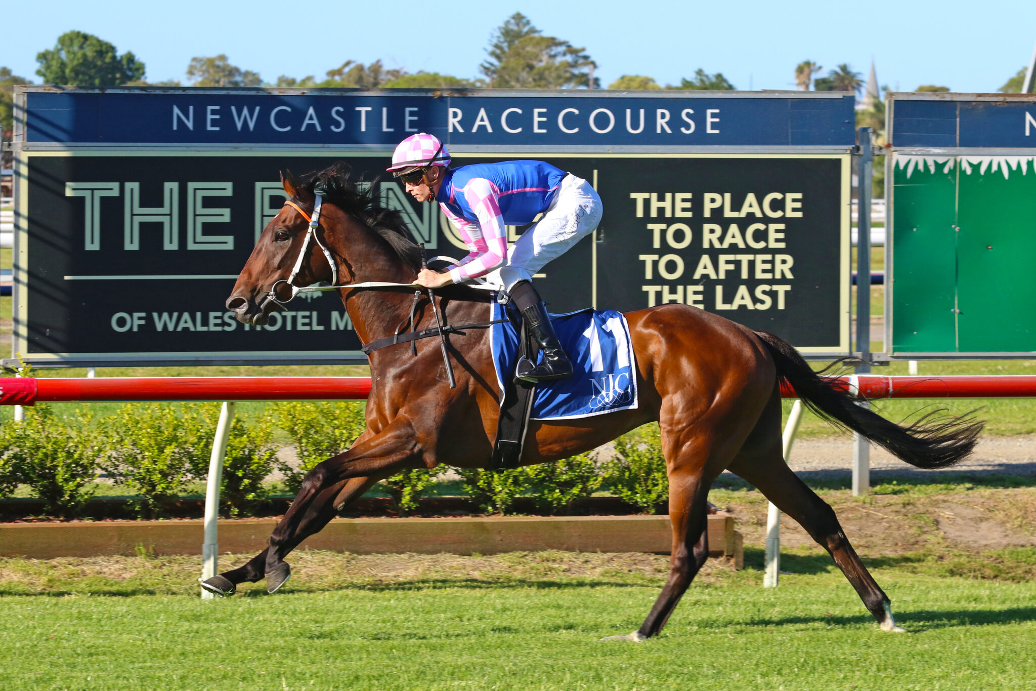 Tavi Time 570 NZ Bstock