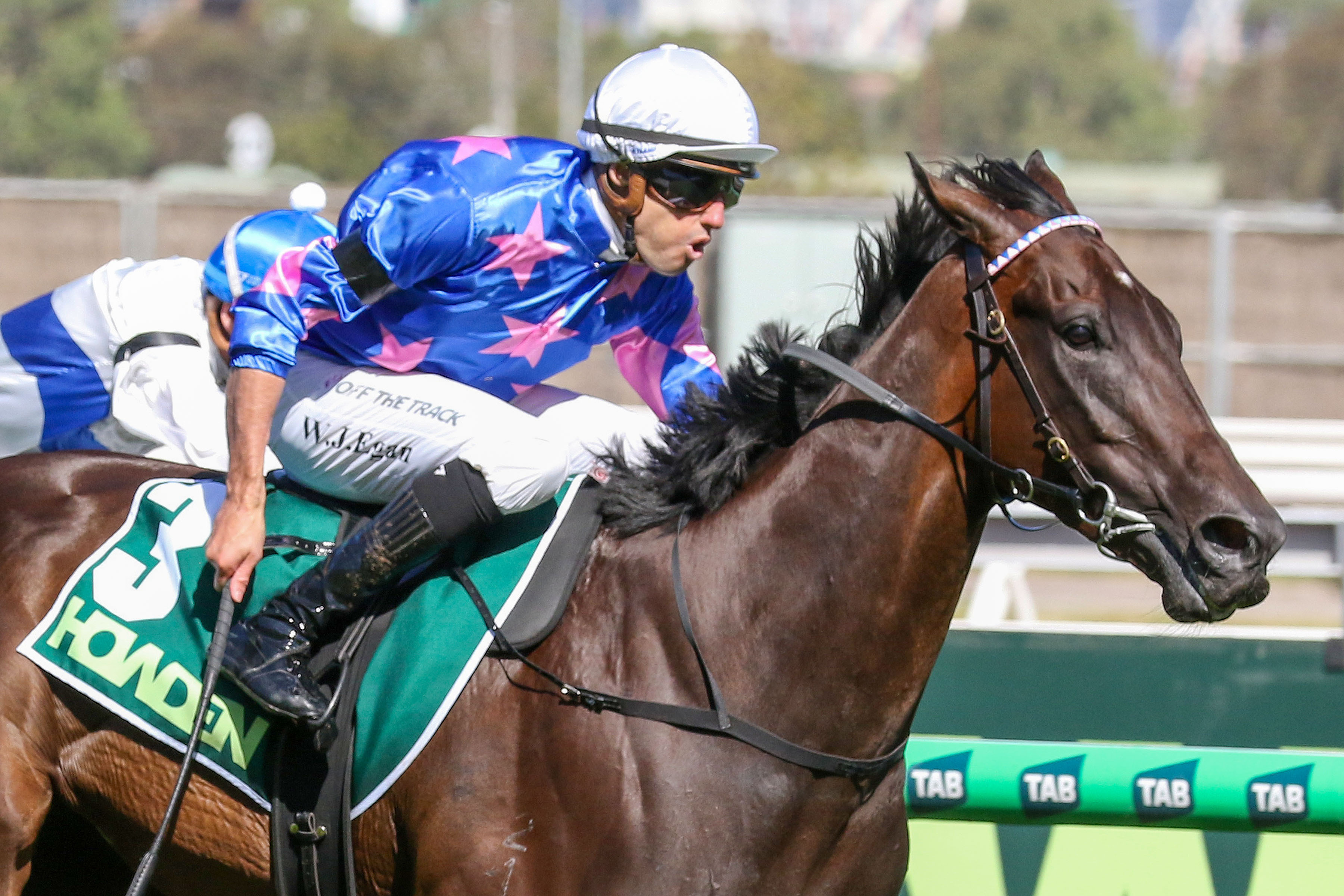 Feroce (NZ)