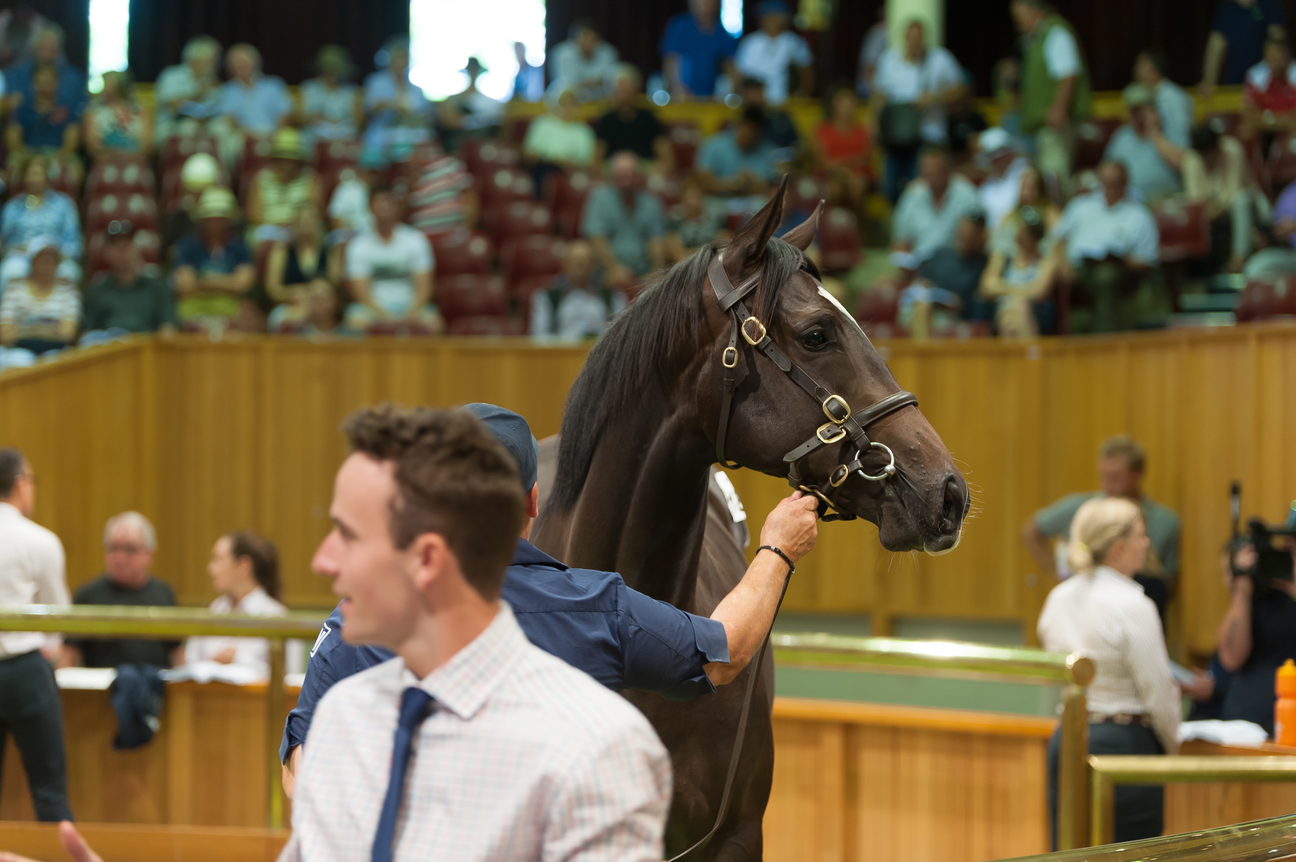 Miss Tainui (NZ)