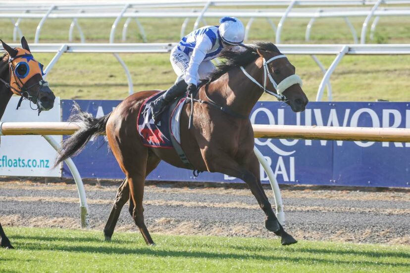 2285077 TOA HAKA0 H9 A6068