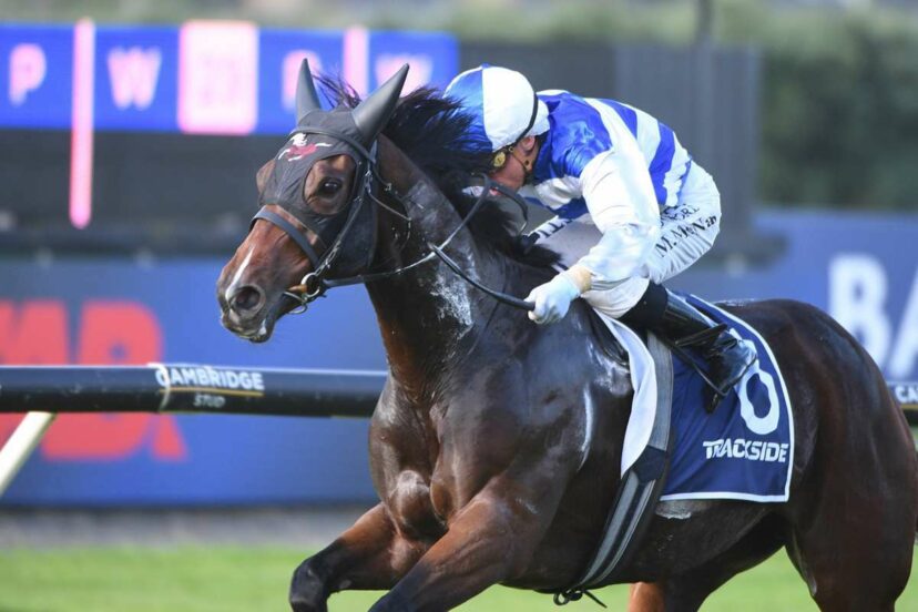 2292868 BIDING MY TIME AUCKLAND 27 4 2026 RACE IMAGES PHOTO KENTON WRIGHT D5 A 9044