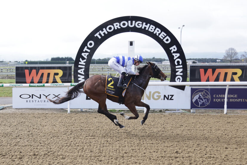 ALTIPLANO WAIKATO 22 7 2026 RACE IMAGES PHOTO KENTON WRIGHT 0 D1 A7140