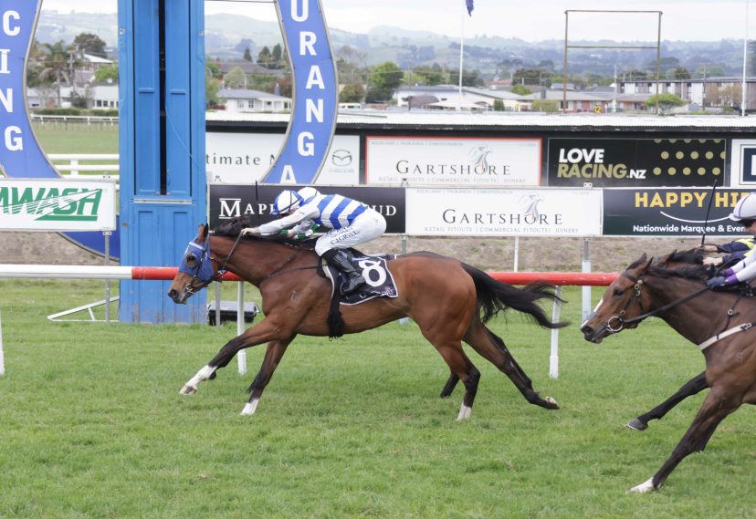 CHOREOMANIA TAURANGA 14 10 2026 WIN RACE IMAGES