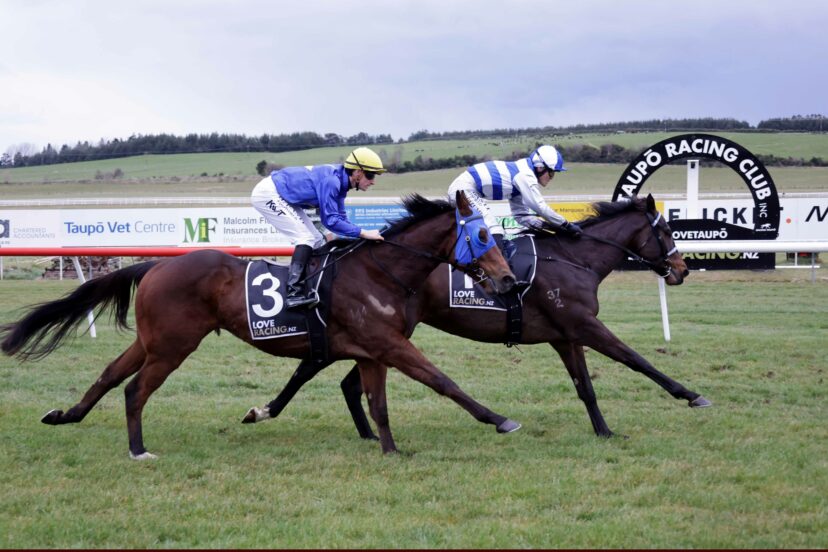 EMPERICAL TAUPO 16 8 2026 RACE IMAGES PHOTO KENTON WRIGHT 29