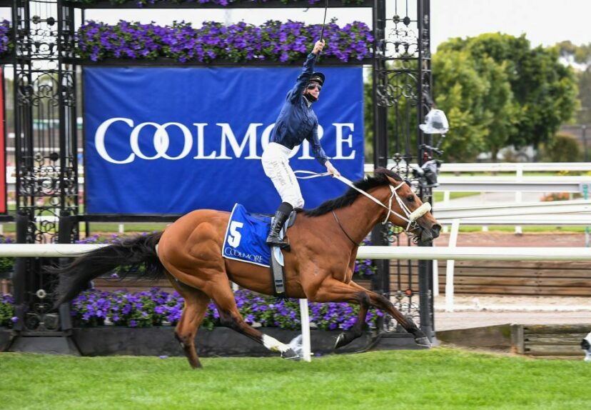 Home Affairs The Coolmore web