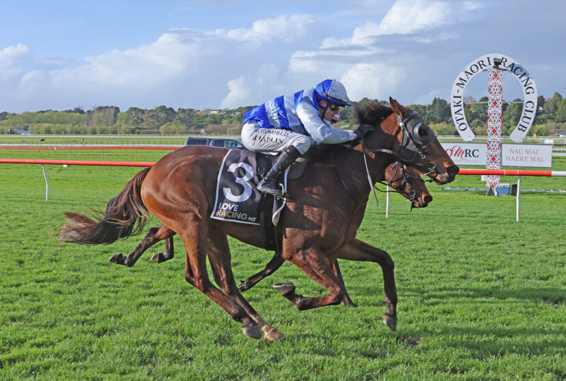 SUNSET BOULEVARD OTAKI 26 9 2025 RACE IMAGES PHOTO PETER RUBERY