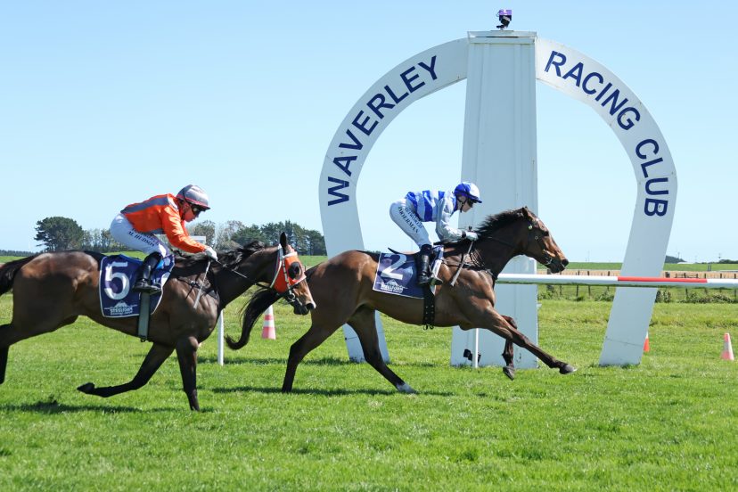 SUNSET BOULEVARD WAVERLEY 18 10 2026 RACE IMAGES PHOTO JANE DAVIDSON 0 H7 A6720