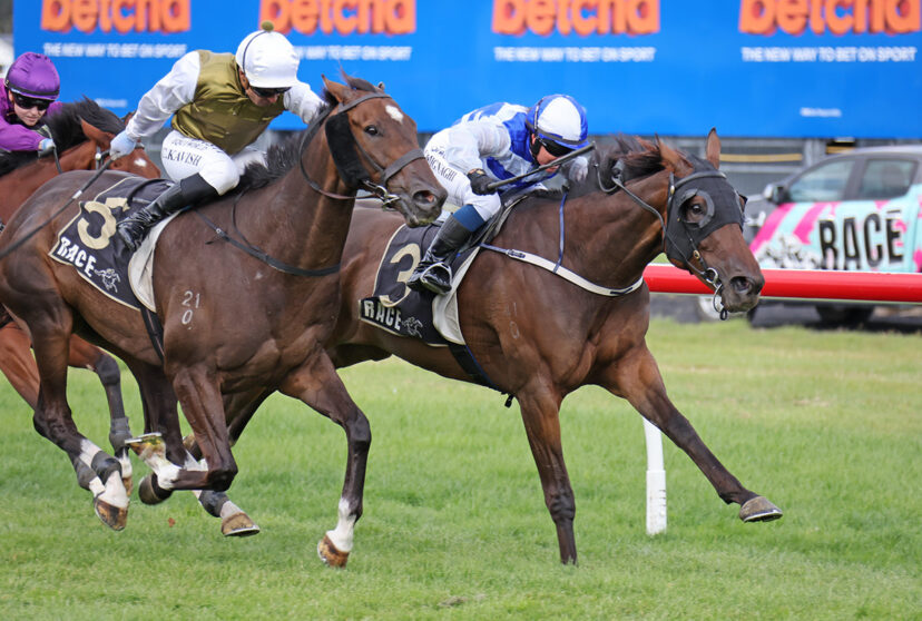 SUNSET BOULEVARD WELLINGTON 1 3 2026 RACE IMAGES PHOTO PETER RUBERY