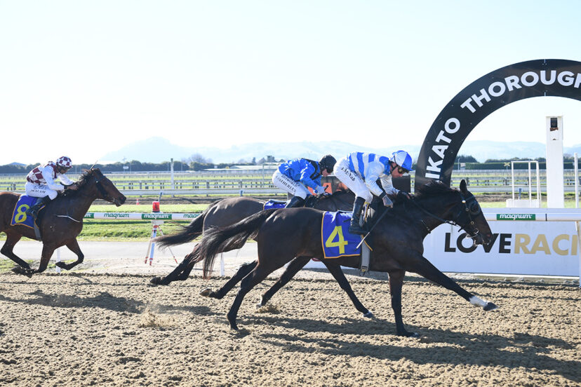 UNEQUIVOCAL WAIKATO 18 6 2025 RACE IMAGES PHOTO KENTON WRIGHT D5 A 0793