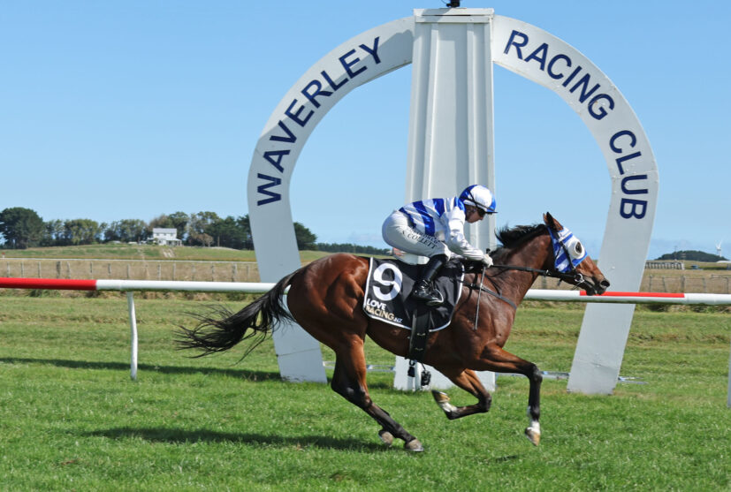 WAILEA WAVERLEY 10 4 2026 RACE IMAGES PHOTO