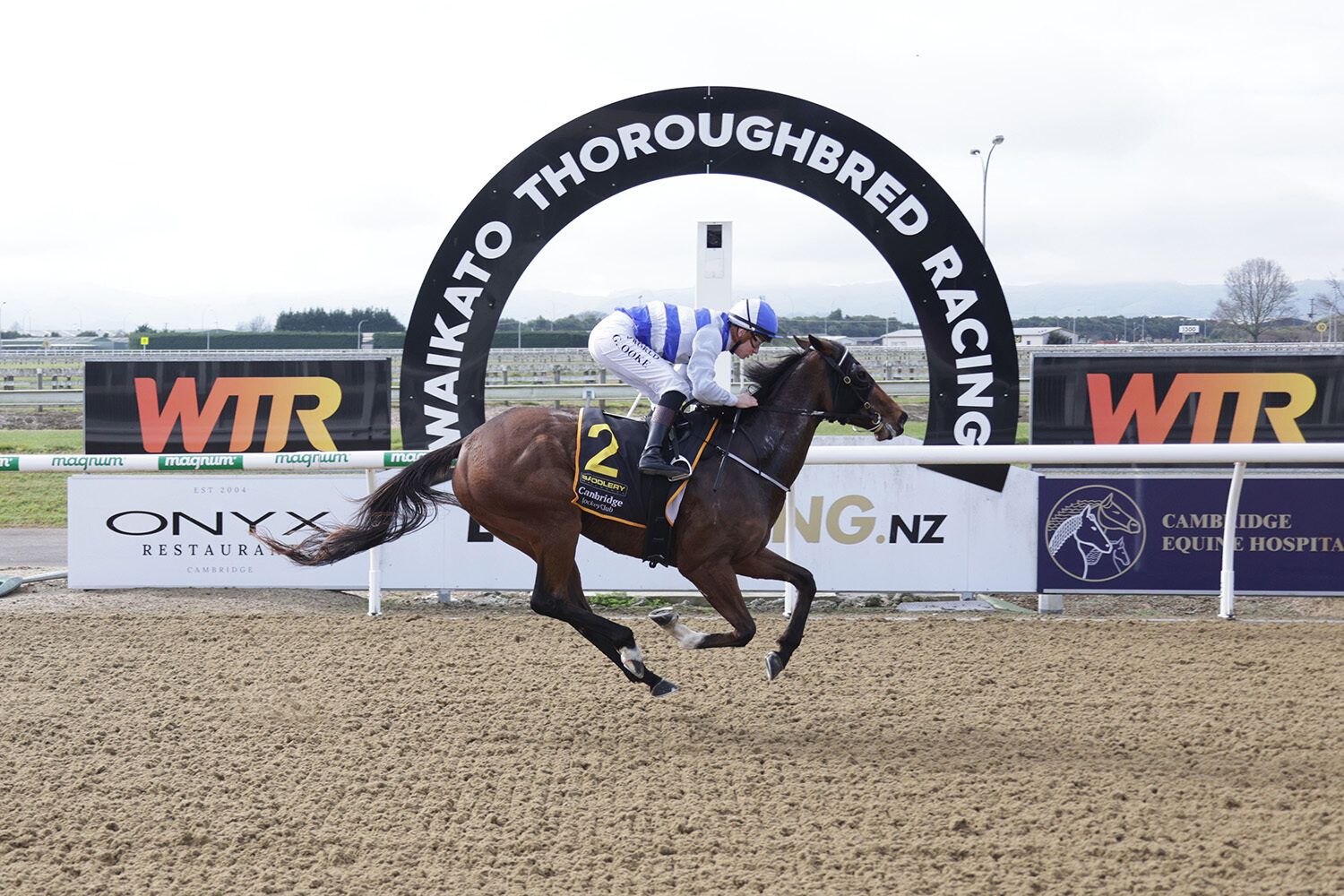 ALTIPLANO WAIKATO 22 7 2026 RACE IMAGES PHOTO KENTON WRIGHT 0 D1 A7140