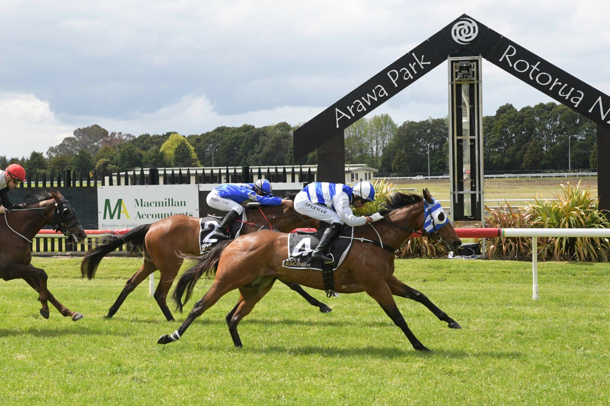 BLUSHING BEAUTY ROTORUA 27 10 2022 RACE IMAGES PHOTO