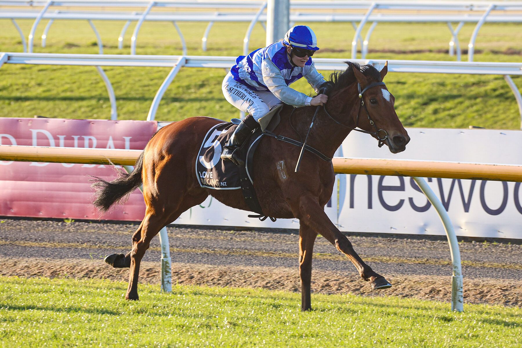 Harmonious 3 August 2024 Race Images Group 1 Raceday 14 September Rating 65 1600m