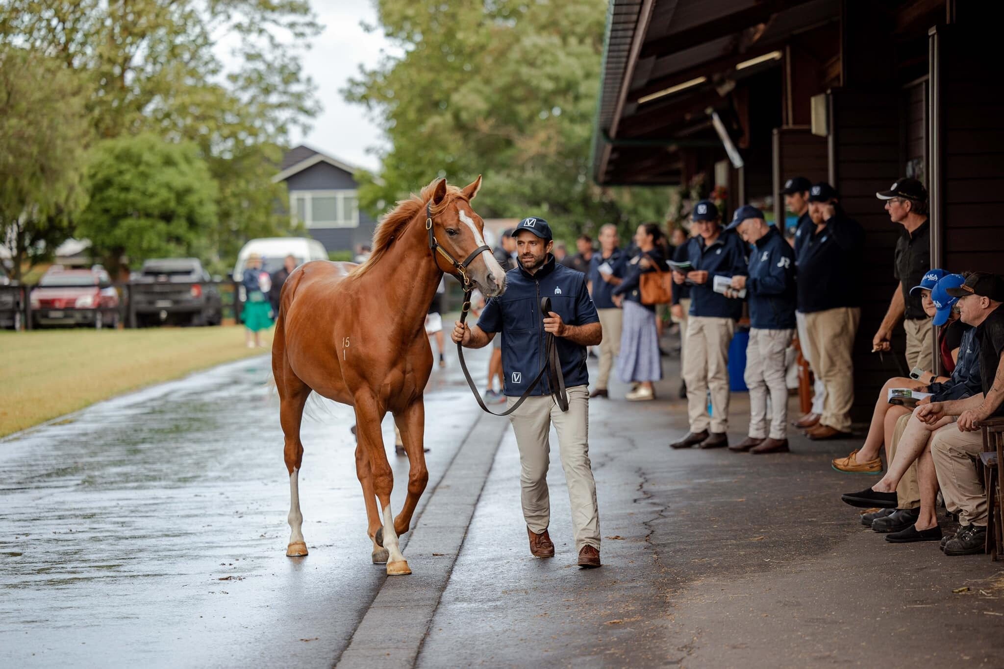 Lot 69 Love Racing pic