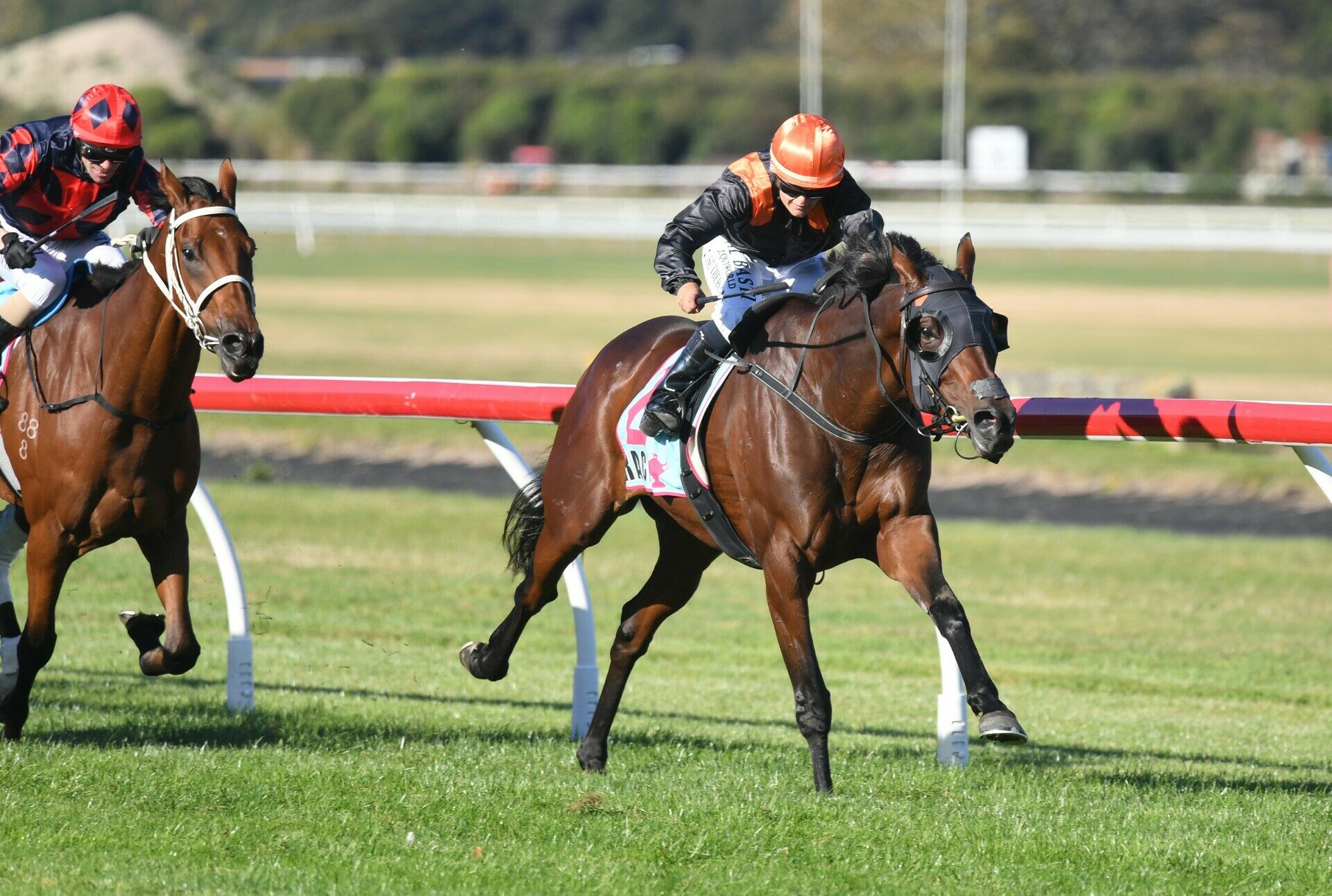 MEHZEBEEN WELLINGTON R C 11 4 2025 RACE IMAGES PHOTO PETER RUBERY PMR 9511