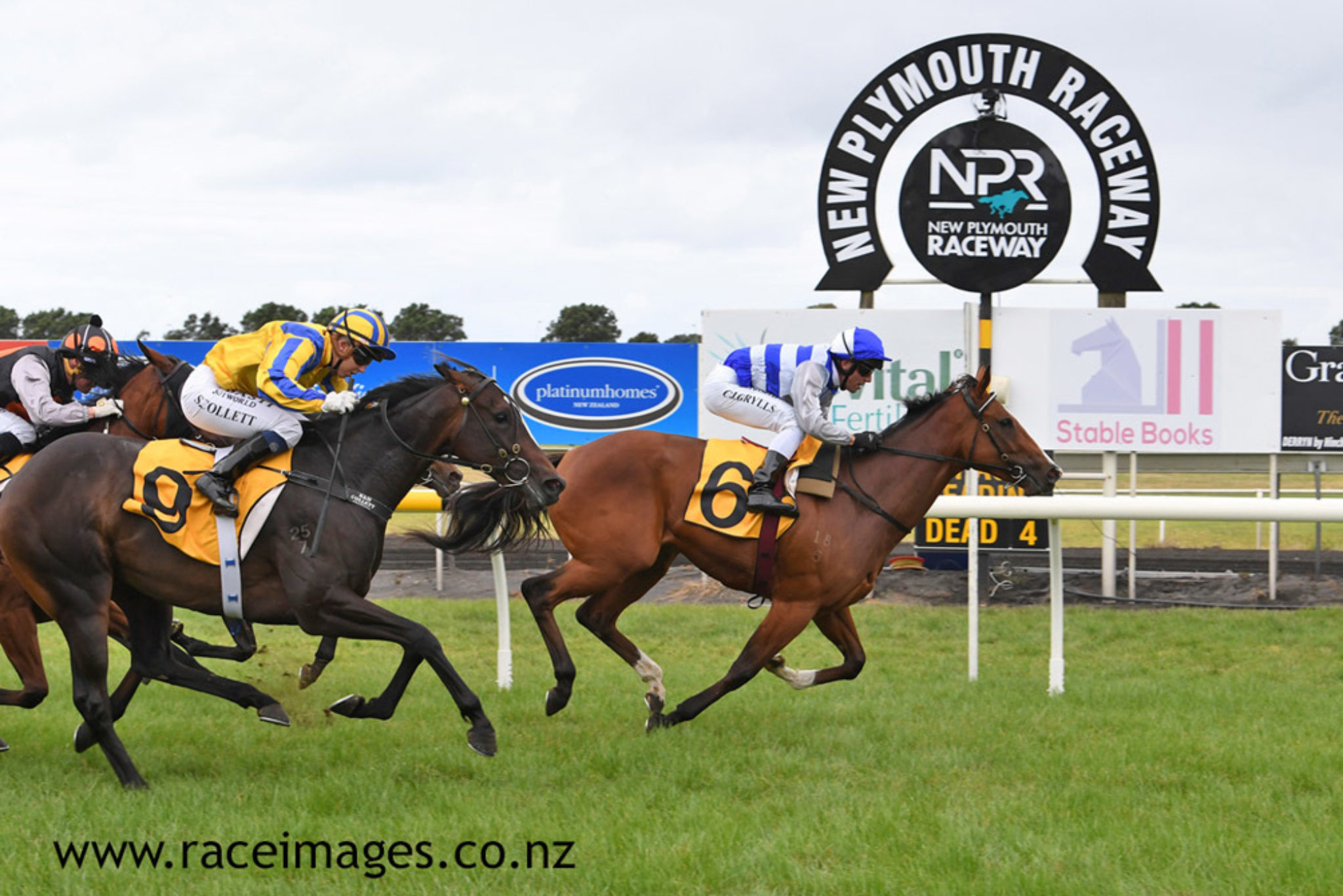 PALM SPRINGS TARANAKI 19 3 2020 RACE IMAGES PHOTO