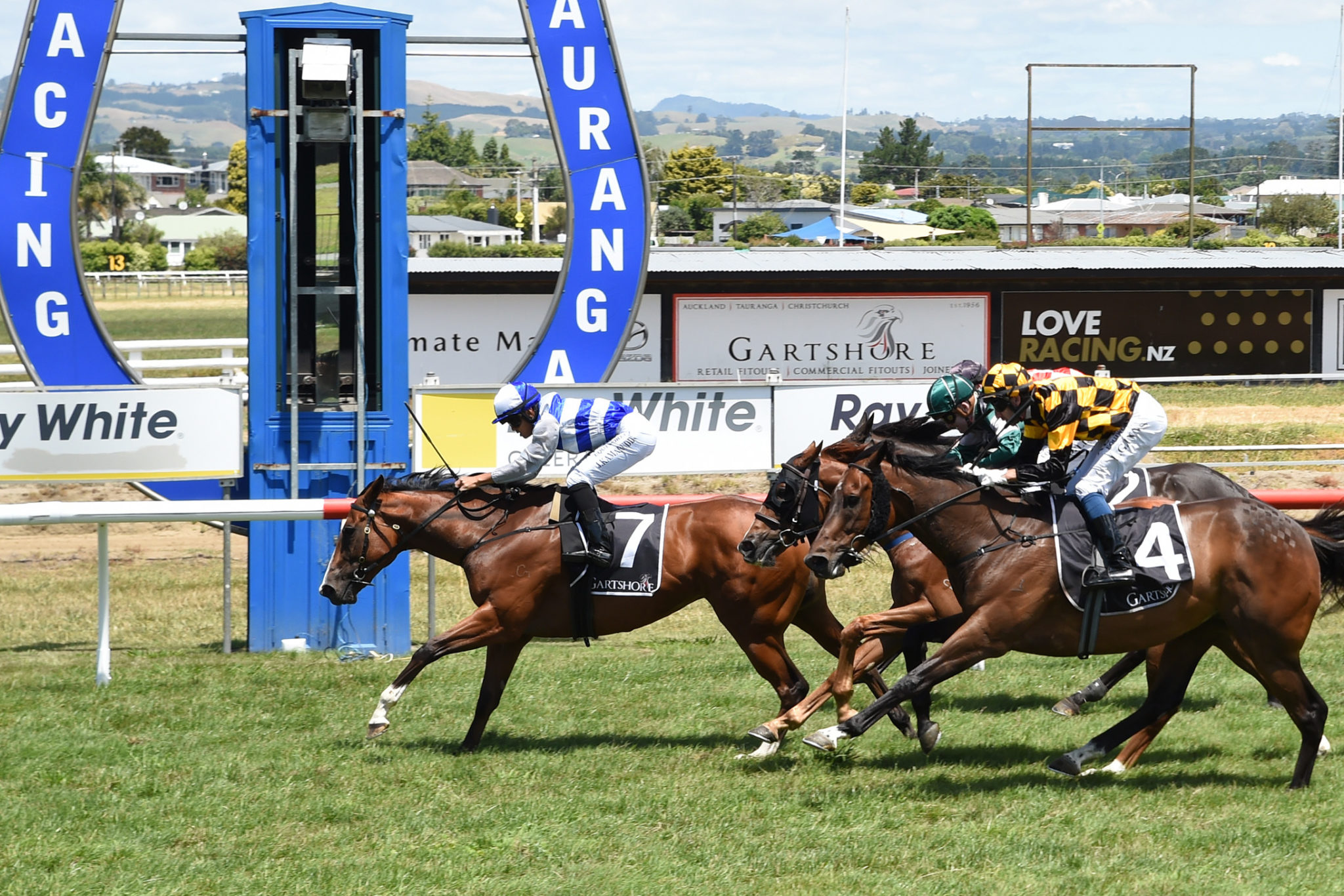 PALM SPRINGS TAURANGA 14 1 2022 RACE IMAGES PHOTO