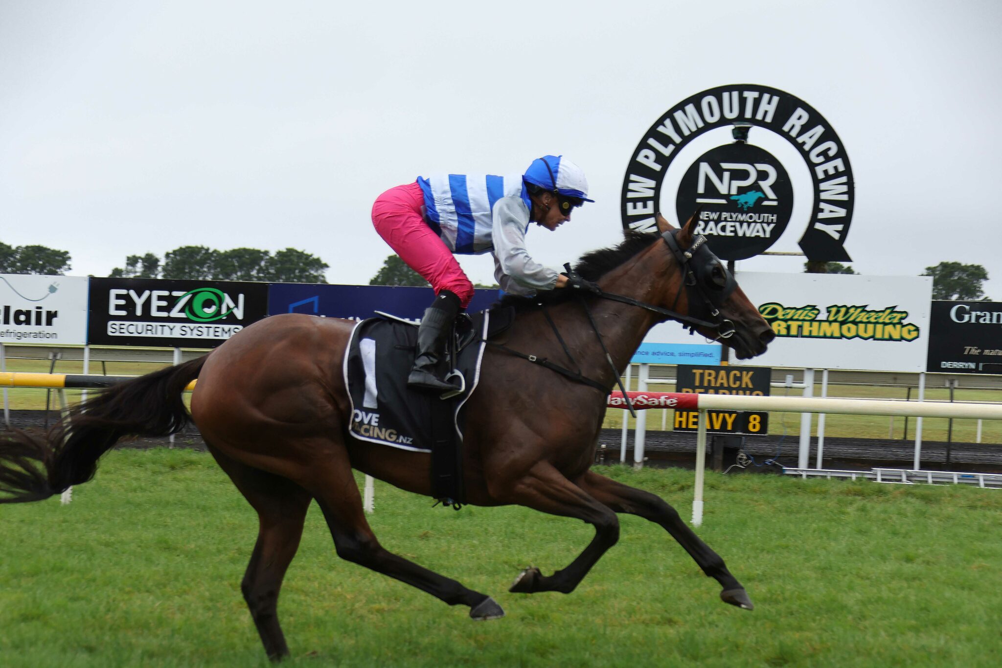 SATTRIYA TARANAKI 13 2 2026 RACE IMAGES PHOTO JANE DAVIDSON 0 H7 A2855