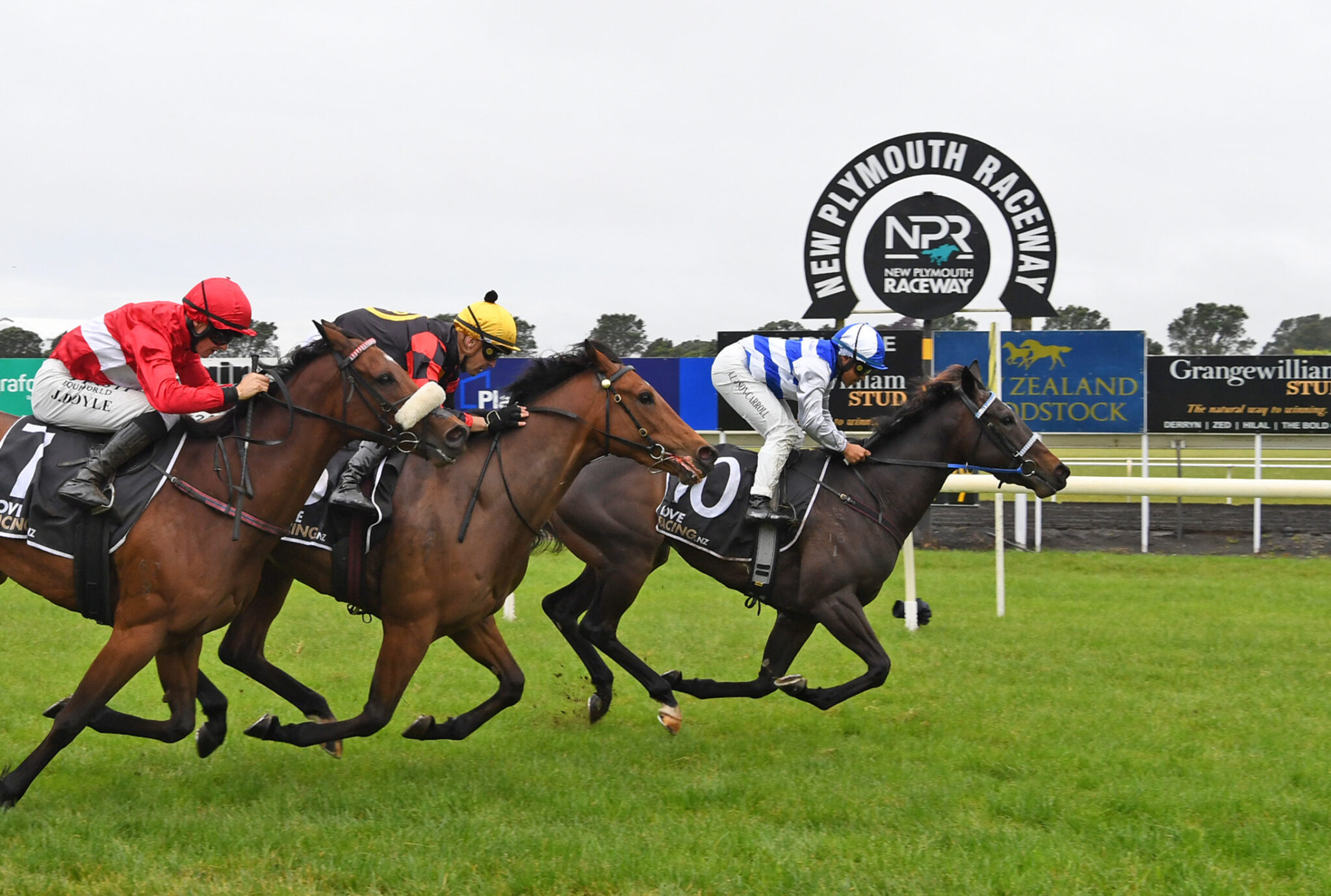 SESIMBRA TARANAKI 6 11 2024 RACE IMAGES PHOTO