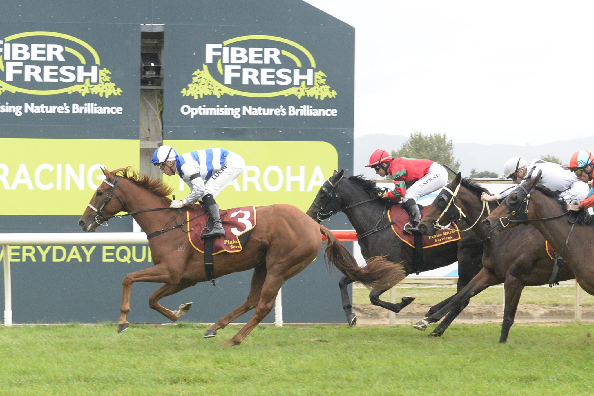 SIDE BY SIDE TE AROHA 10 4 2021 RACE IMAGES PHOTO