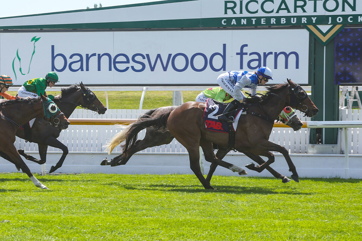 SUNSET BOULEVARD 0 H9 A0502