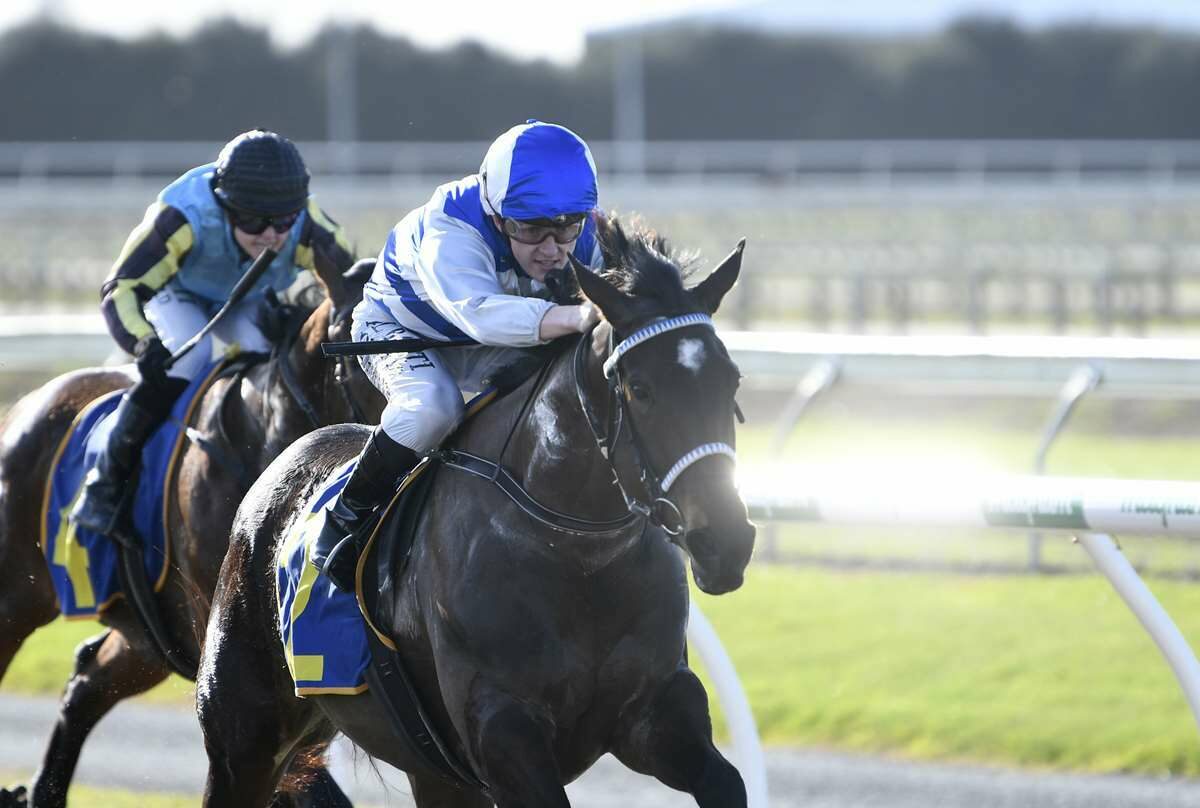 Sesimbra at Cambridge