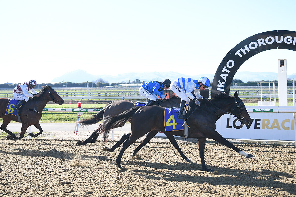 UNEQUIVOCAL WAIKATO 18 6 2025 RACE IMAGES PHOTO KENTON WRIGHT D5 A 0793