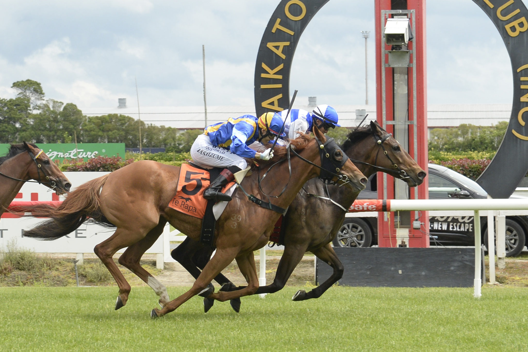 VICHY WAIKATO 7 11 2020 RACE IMAGES PHOTO