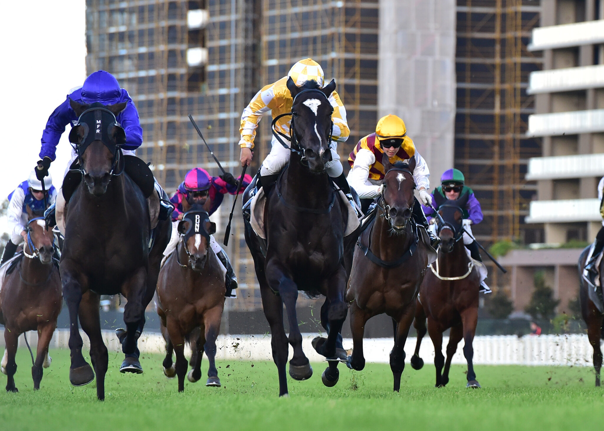 Waikato Girl L Princess Stakes Eagle F 27 4 24 Grant Peters Trackside Photography