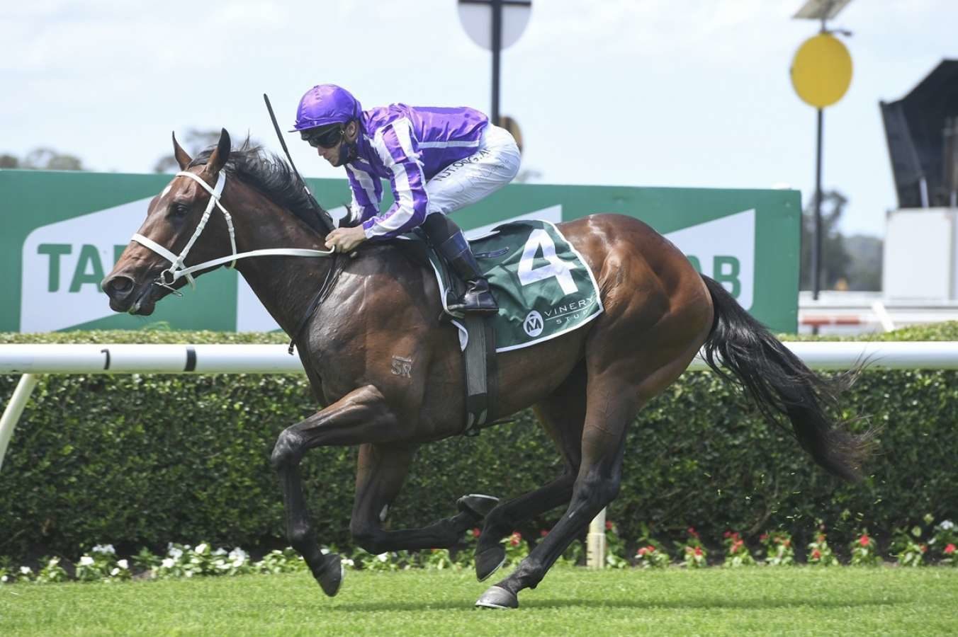 Ranch hand impressed on debut at warwick farm 1608708779 1352x900